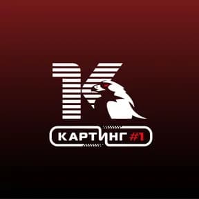 Картинг#1